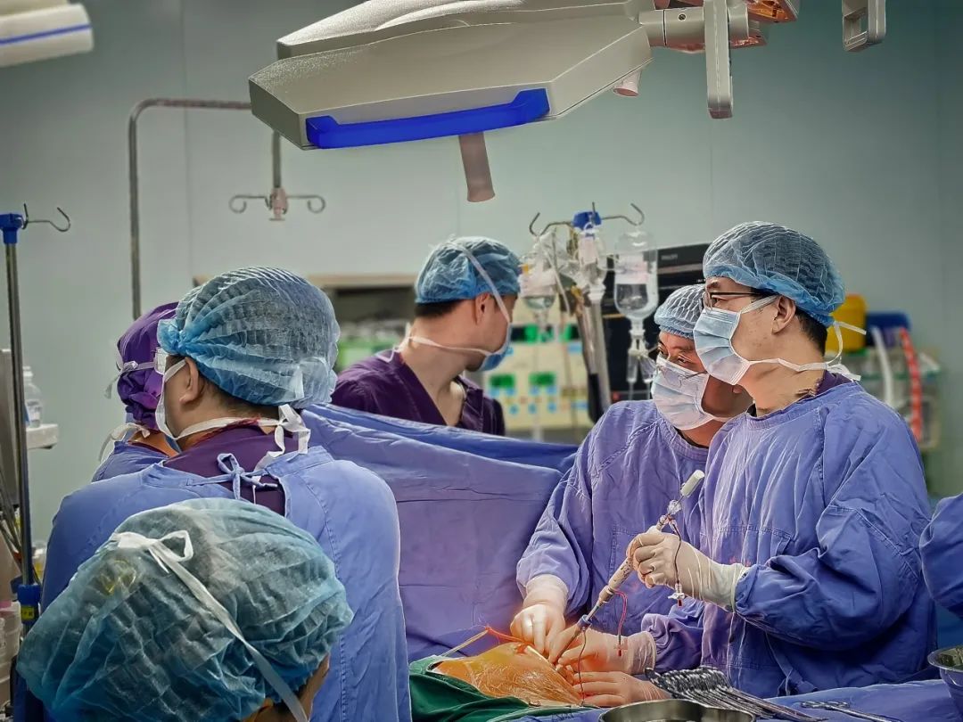 成都市第五人民医院成功开展首例ValveClamp®经心尖二尖瓣夹合术 打破瓣膜治疗新壁垒