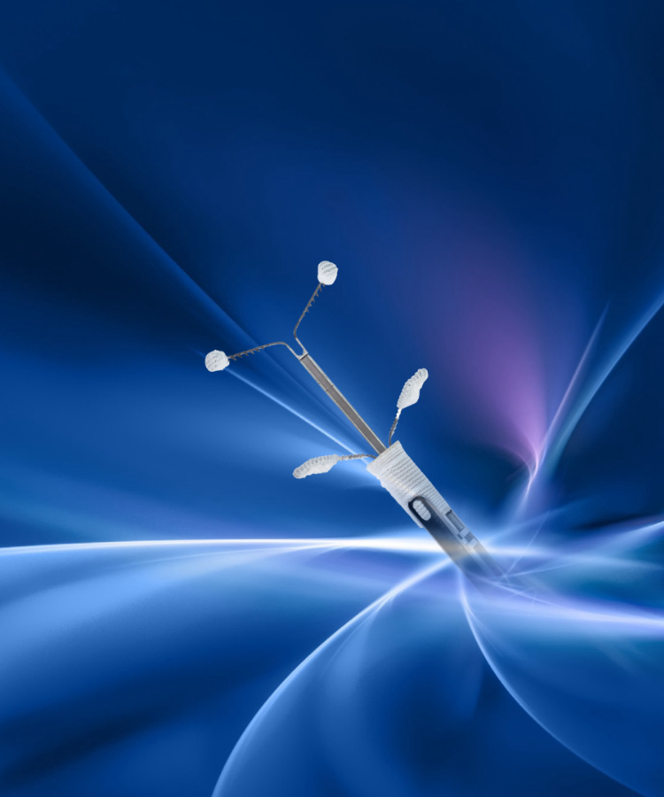 精简操控 驭瓣随心<br>