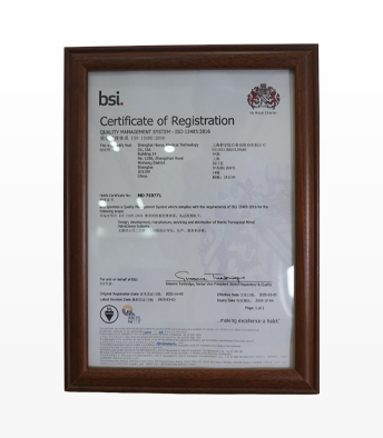 BSI